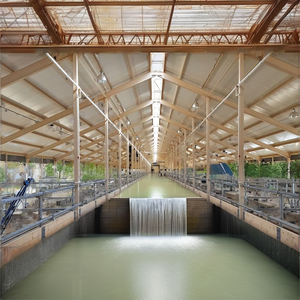 Tùy chỉnh được thiết kế thép hội thảo đúc sẵn chăn nuôi nơi trú ẩn đổ nuôi cừu dê ánh sáng kho Hàn chế biến - Product Image 6