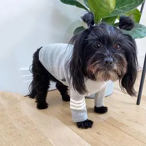 Qipet Pet malzemeleri için özel yeni tasarımcı şerit noktası balıkçı yaka yavru köpek kazak Pet T shirt küçük orta büyük köpekler için