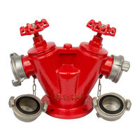 Vanne d'incendie à double sortie en fonte DN65, entrée 100 mm, pour station d'incendie - Direct Fabricant