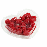 Boîte d'emballage en plastique transparent pour fraises, en PET recyclable, conteneur pour fruits frais, jetable avec couvercle