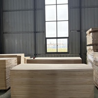 Meubles en paulownia durables, planches en bois massif, bois d'œuvre, bois de cercueil pour le taekwondo, noyau de planche à neige, exportation