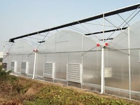 Serres à film plastique tunnel multi-travées agricoles à faible coût avec système hydroponique pour la culture de tomates/fraises/concombres