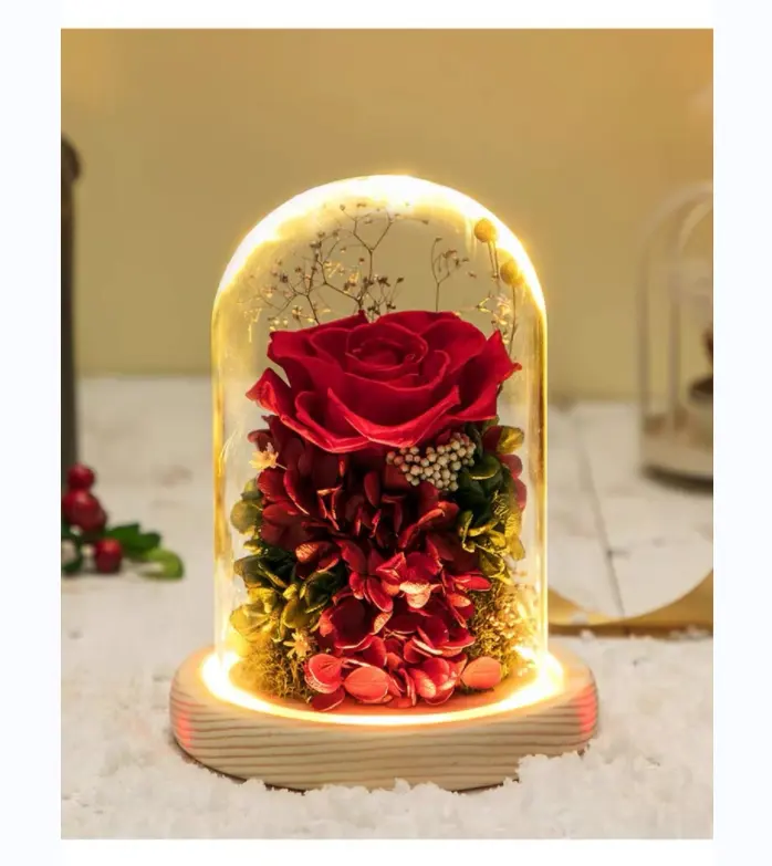 Toptan dekorasyon tatil hediye led ışık ebedi gül ahşap tabanı ile çiçekler için cam kubbe