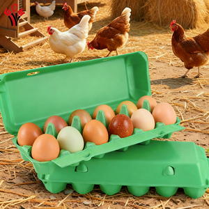 Vente en gros de 12 cartons d'œufs personnalisés imprimés de couleur avec étiquettes Emballage de boîte de pâte à papier en vrac pour œufs de poule une douzaine en stock - Product Image 1