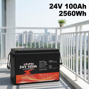 Baterai LiFePO4 24V 100Ah Stok EU dengan Bluetooth untuk Penyimpanan Energi Surya RV dan Rumah di Cuaca Dingin - Product Image 1