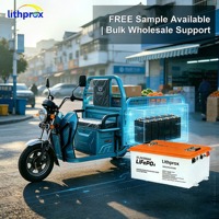Batterie de mobilité électrique 51.2V200AH 10.24KWh, cellules LFP de qualité A, longue durée de vie, large plage de température, pour fauteuil roulant électrique
