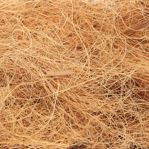 Caliente 2025 | Fibra de coco ecológica a la venta de Vietnam - Product Image 1