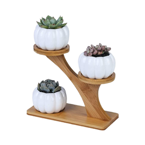 Pots à succulentes en céramique en forme de patte de chat hibou, 3 niveaux, minimalistes, avec soucoupes, pour la vente en dropshipping, drainage pour le sol de la maison - Product Image 4