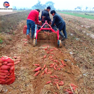 Agriculture Gingembre Oignon Ail Pommes <span class=keywords><strong>de</strong></span> <span class=keywords><strong>terre</strong></span> Moissonneuse Digger Machine à vendre Digger Machinery with Cheap Price for Sale 2 Rows - Product Image 6