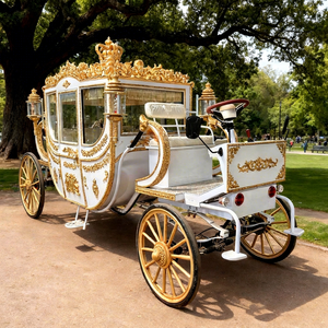 Calèche royale personnalisée à 4 roues pour la vente – Calèche royale électrique sans chevaux - Product Image 1