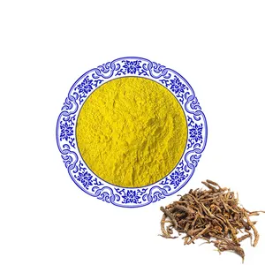 Harga grosir berine suplemen Coptis Rhizoma bubuk ekstrak 97% berberine