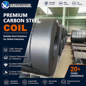 Tension Leveling SPHC SAE1006 Shot Blasted Tempered 20mm 1219mm ASTM A36 Carbon Steel Coil of Industry - Product Image 1