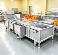 Productielijn voor het matchen van bubbelspoelmachines voor een complete groenteverwerkingsketen