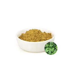 GMP dried ivy leaf extract