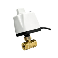 Vanne à boisseau sphérique électrique en laiton 1/2'' 3/4'' 1'' 220V/12V/24V, à deux fils, normalement fermée/ouverte, motorisée, avec interrupteur manuel, pour eau, OEM