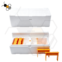 Hochfeste EPS Doppel-Bienenköniginnen-Zuchtbox, Mini-Bienenstock mit 4 Rahmen, Bienenzucht-Nukleusbaukasten für die Imkerei