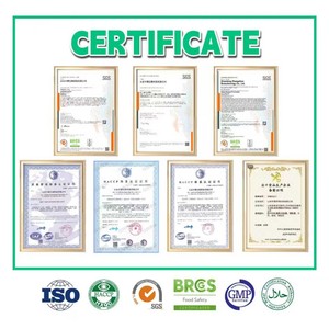 Clorofilla in Polvere - Idrosolubile - Supporto per il Benessere Immunitario - Disponibile OEM/ODM - Product Image 3