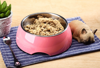 Gamelle stable pour chiot avec support patte – Bols et mangeoires pour chiens en gros – Fabricant certifié et audité