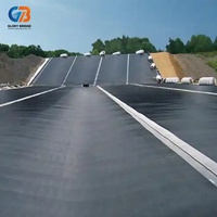 Precio de Lámina de Geomembrana de HDPE para Revestimiento de Vertederos, 2 mm, Estándar ASTM, Protección Impermeable Anti-UV, Fabricantes de Revestimientos