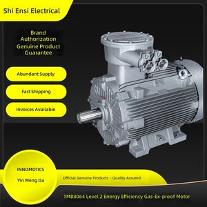 Motor Trifásico Antiexplosión Yinmengda, Extintor de Gas, a Prueba de Llamas, BT4 IE4, Clase de Eficiencia Energética 1MB8064 - Product Image 1