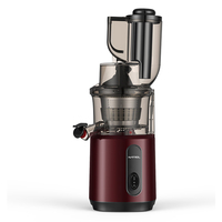 Multifunctionele elektrische smoothie- en sorbetmaker, slowjuicer voor alle groenten, huishoudelijk gebruik