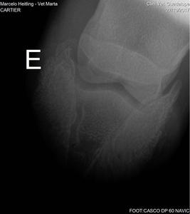 Bộ phụ kiện đầy đủ Iray cho máy dò tia X tấm phẳng không dây dùng cho bệnh viện thú y và phòng khám - Product Image 4