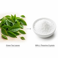 LCHBIO - L-Teanina 99% en Polvo Cristalino, Extracto de Té Verde, Extracción Supercrítica con CO2, Suplementos Dietéticos, Venta al Por Mayor de Fábrica