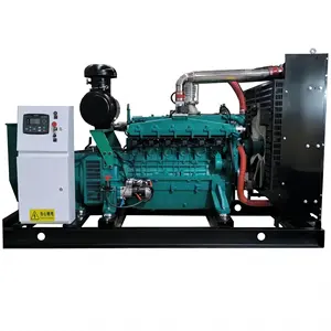 Generatore di Gas naturale generatore di Gas generatore di Gas da 250KW/312.5KVA CNG LNG generatore di Turbine a Gas