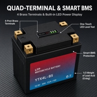 Batterie de moto LiFePO4 12,8 V 3 Ah YTX4L-BS LFP, batterie de démarrage 150 A+ CCA, charge 14,6 V, batterie légère pour motos
