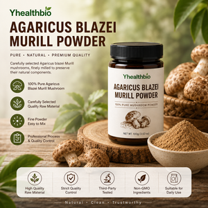 Polvo de hongo <span class=keywords><strong>Agaricus</strong></span> Blazei Murill de alta pureza, materia prima con baja impureza, lote estable, índice personalizado y otras especificaciones. Contáctenos. - Product Image 3