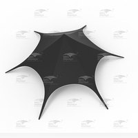 Carpa con dosel de estrellas para fiesta, marquesina para exteriores, 16M