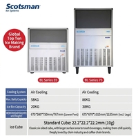 Machine à glaçons en cubes commerciale Scotsman BL55, refroidissement par eau/air, dégivrage automatique par gaz chaud, 675x580x750mm, pour hôtel, bar