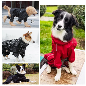 고반사 커스텀 로고 스포츠 네 발 강아지 옷 럭셔리 클래식 방수 XL 애견 자켓 - Product Image 3