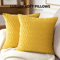 Housse de coussin en velours de couleur personnalisée, écologique, lavable, pour canapé de salon