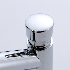 Public Hotel Toilet Wc Use Brass Water Saving Self Closing Push <strong>Basin</strong> Pillar <strong>Time</strong> <strong>Delay</strong> Tap <strong>Faucet</strong> - Product Image 4