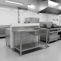 RVS spoelbaktafel met afvoergoot, commerciële keukenwasbak voor hotel en catering