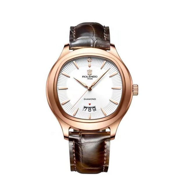 New Arrival ROLENDO RG7064 Minimalist Luxury Watch Men Relojes Hombre Casuales Stainless Steel Case Watch Men Automatic Watch