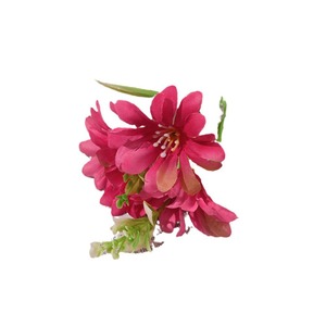 Têtes de fleurs de marguerites artificielles en soie, accessoires pour cheveux de mariage, couronnes DIY, accessoires de photographie, décorations - Product Image 5