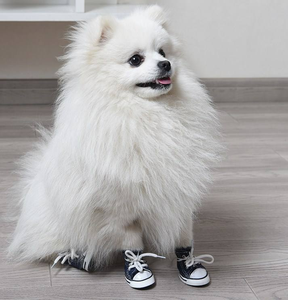 Nuevos productos Zapatos para mascotas Deportes Casual Impermeable Suelas antideslizantes Transpirable Cómodo Botas para mascotas Zapatos <span class=keywords><strong>de</strong></span> lona para perros - Product Image 5