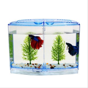 Grand aquarium rectangulaire écologique à double compartiment pour poissons Betta, boîte d'isolement et de reproduction pour Betta et Guppy - Product Image 3