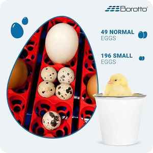 Borotto Real 49 Plus Professional Chicken <b>Egg</b> <b>Incubator</b> Automatic 49Pcs/196Pcs <b>Egg</b> <b>Incubators</b> for Chickens for Sale in Italy - Product Image 2
