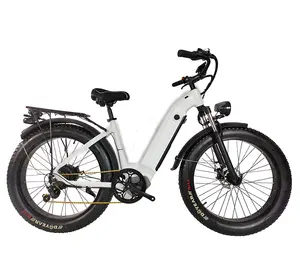 จีน 500w 750w 1000 วัตต์ 26 นิ้วไขมันยาง E-bike สีสมบูรณ์ภูเขา Ride Ebike