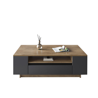 Table basse moderne en bois, forme carrée, moderne et légère, pour maison, salon, meubles de maison, loisirs, Table basse
