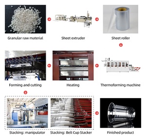 Phổ biến hoàn toàn tự động nhỏ dùng một lần Tấm nhựa và ly làm máy móc dây chuyền sản xuất - Product Image 5
