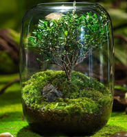 Terrarium en verre transparent DIY 15x21 cm pour plantes succulentes, plantes aériennes, fougères, micro-paysages, vase décoratif pour la maison et le bureau, style Art Déco
