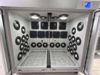 Salle de séchage de style armoire utilisée pour chien chat gros animaux salon pour animaux de compagnie