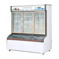 Beverage Display Cabinet for Supermarkets or Convenience Stores Freezer