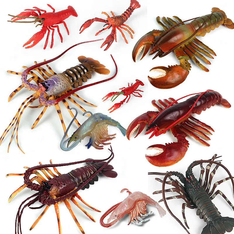 Kognisi buatan Model mainan hewan kehidupan dasar laut liar Lobster besar udang Mantis kepiting Hermit