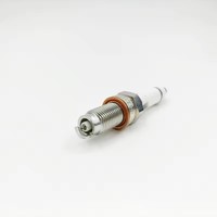 Pièces automobiles OEM PZKER7B8EGS, bougie d'allumage 04E905602F 04E905601B pour véhicules VW AUDI