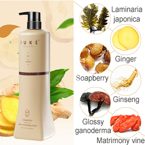 JUKE Ensemble de soins capillaires bio aux plantes Lotion naturelle anti-chute Shampooing et <span class=keywords><strong>après</strong></span>-<span class=keywords><strong>shampoing</strong></span> au gingembre pour tous types de <span class=keywords><strong>cheveux</strong></span> - Product Image 4